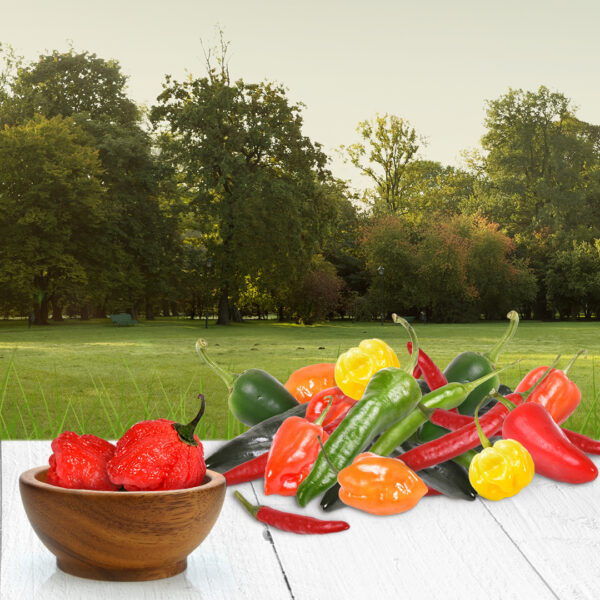 BBQ Chili Mix mit Carolina Reaper