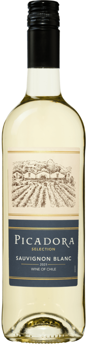 Picadora Sauvignon Blanc - die Weinbörse