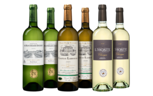Weißwein - Bordeaux Blanc - die Weinbörse