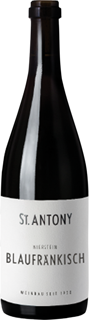Niersteiner Blaufränkisch - 2021