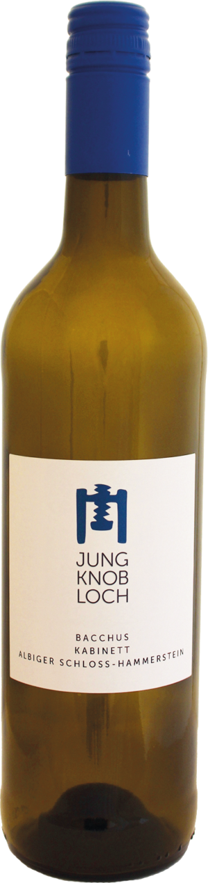 Albiger Schloß Hammerstein Bacchus Kabinett (lieblich) - 2022