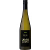 Lamm-Jung KG 2017 Riesling Premium Steil trocken