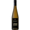 Lamm-Jung KG 2017 Spaetburgunder Premium Weissherbst trocken