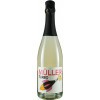 Die Jungwinzer - The Next Generation 2019 Mueller Turbo Winzersekt trocken