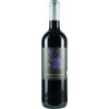 BIO Weingut Lay 2020 Cabernet Sauvignon Reserve Glockenschlag trocken