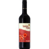 Sonnenmulde 2020 Pinot Noir trocken