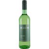 Wissing 2021 Riesling trocken
