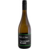 Fellini 2021 Sauvignon Blanc trocken