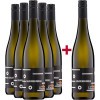 Andres am Lilienthal 2021 5+1 Paket Grauburgunder trocken BIO