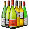 WirWinzer Select 2018 Literwein Favoriten Paket