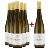 Schlossgut Ebringen 2018 5+1 Aktion Sauvignon Blanc "S"