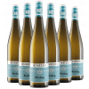 Schaetzel 2018 "Riesling Gutswein-Paket" trocken