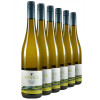 Rinke 2021 Pinot Gris Schiefergestein