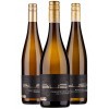 Bus 2019 Weisses Wein-Paket zu Wild