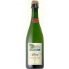 Melsheimer 2014 Mullay-Hofberg MAGNUM Riesling brut 1,5 L
