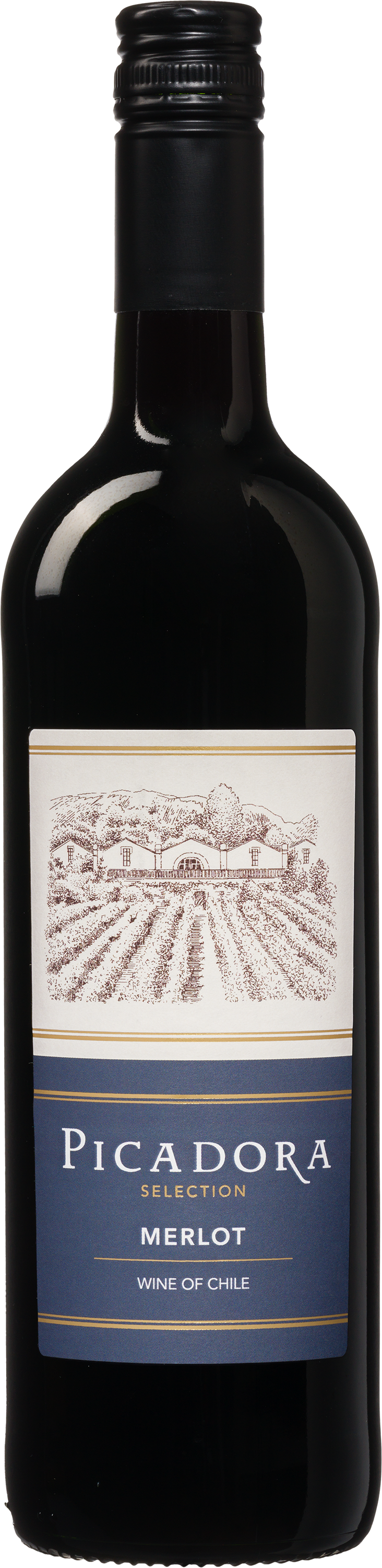 Picadora Merlot - die Weinbörse