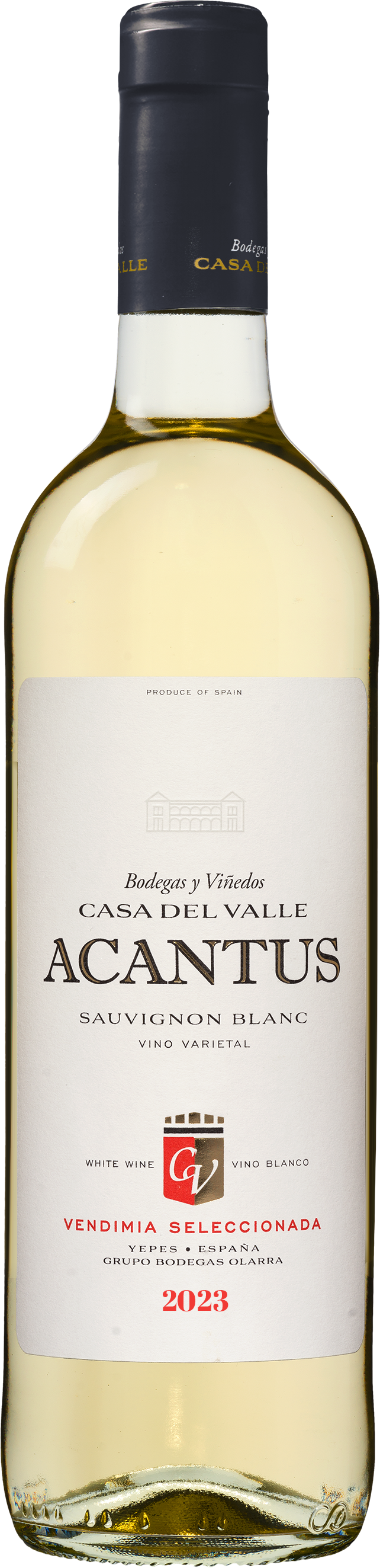 Acantus Sauvignon Blanc - die Weinbörse