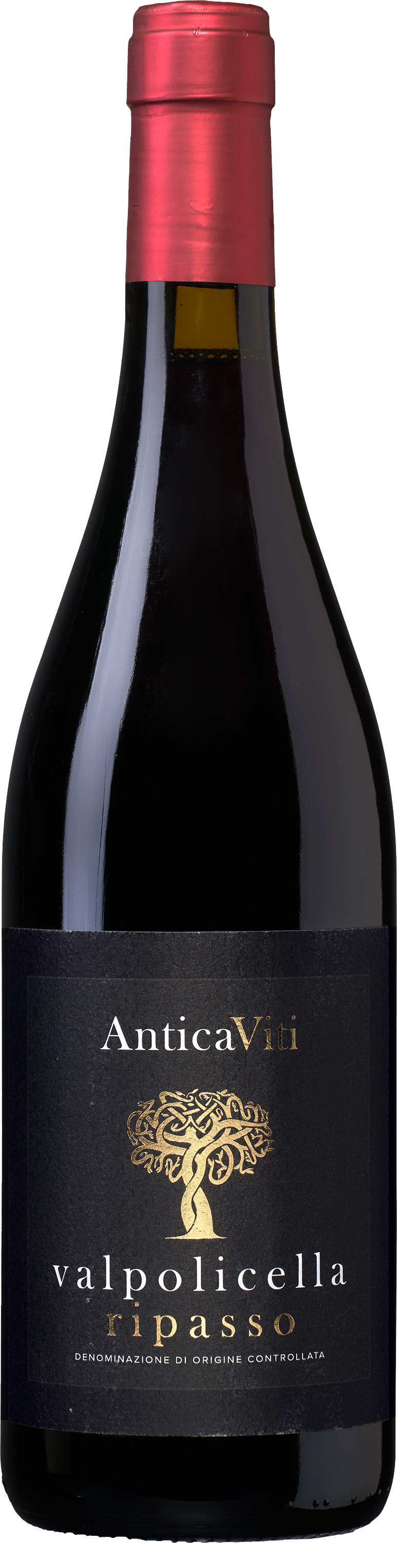 Antica Viti Valpolicella DOC Ripasso - die Weinbörse