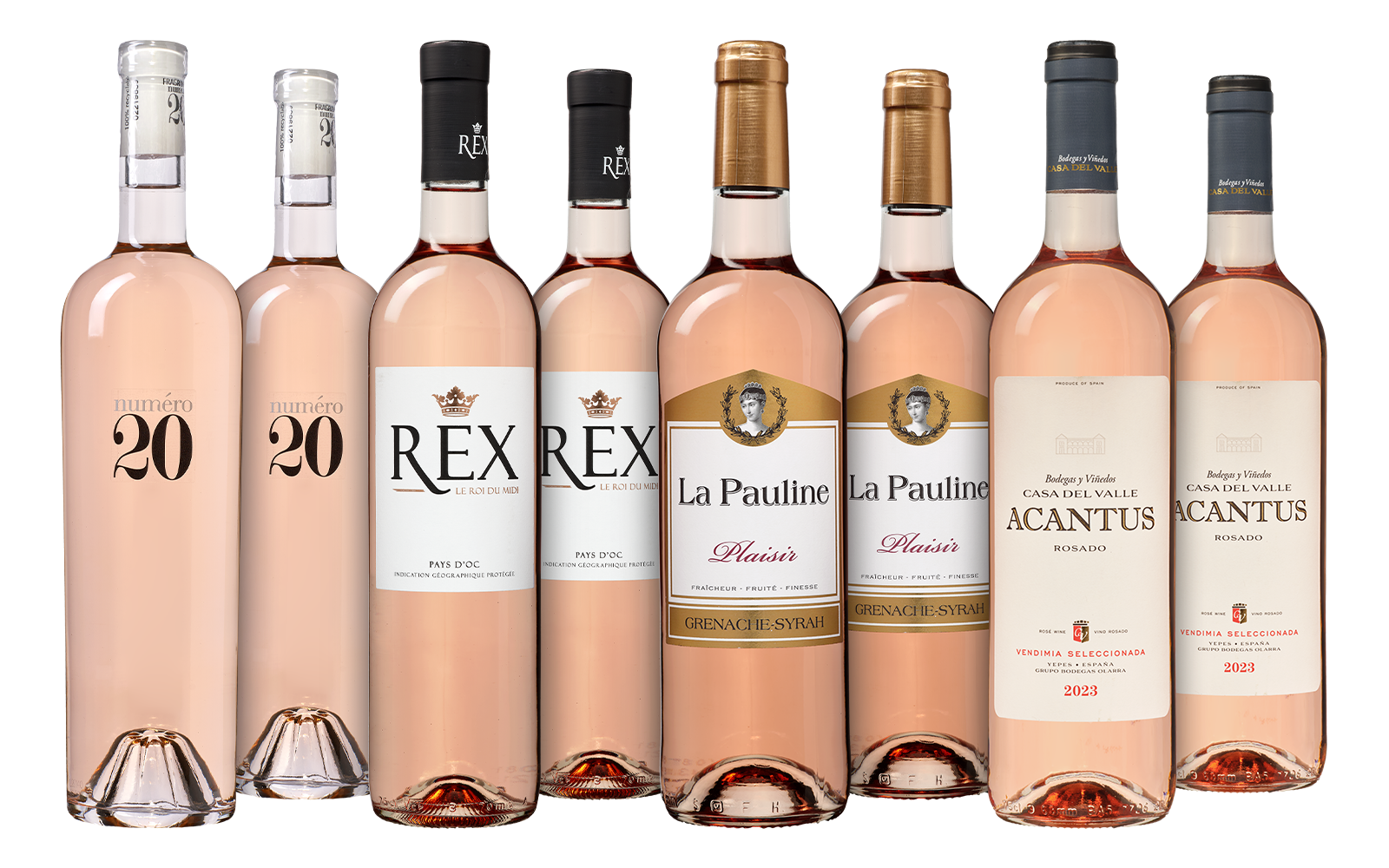 Rosé Paket - die Weinbörse